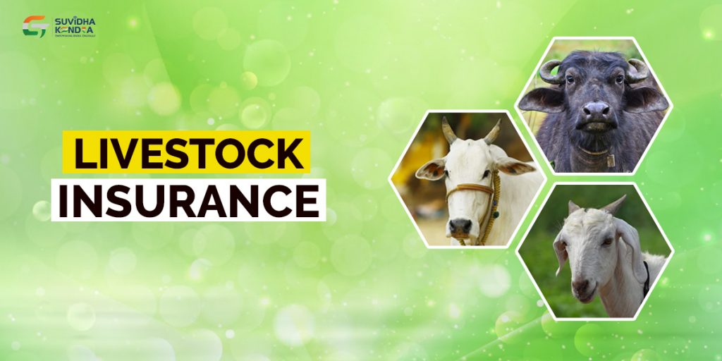 Livestock Insurance