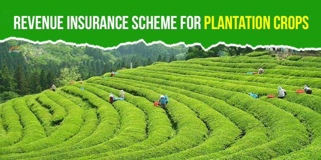 Revenue Insurance Scheme for Plantation Crops