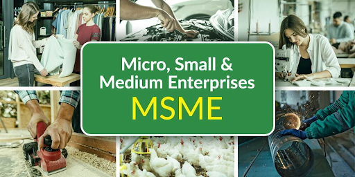 Micro-enterprise Micro-enterprise