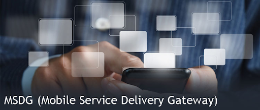 Mobile e-governance Service Delivery Gateway Mobile e-governance Service Delivery Gateway