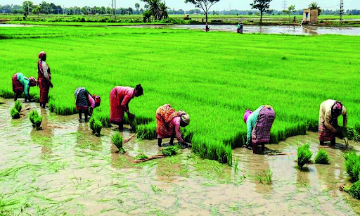 Interest Subvention Interest Subvention