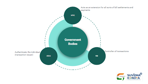 Government Role in AEPS Government Role in AEPS
